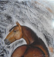 /album/galerie-photos/regard-en-coin-jpg1/